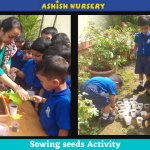 Sowing seeds Activity